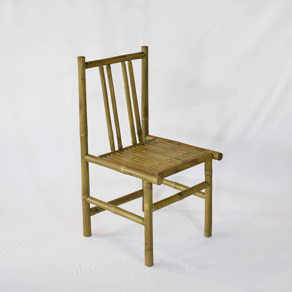 Pause Bamboo Garden Dining Chair with Skin