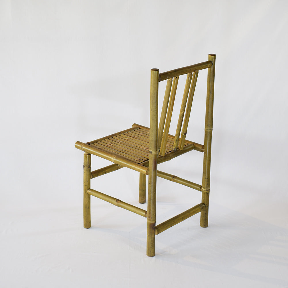 Pause Bamboo Garden Dining Chair with Skin