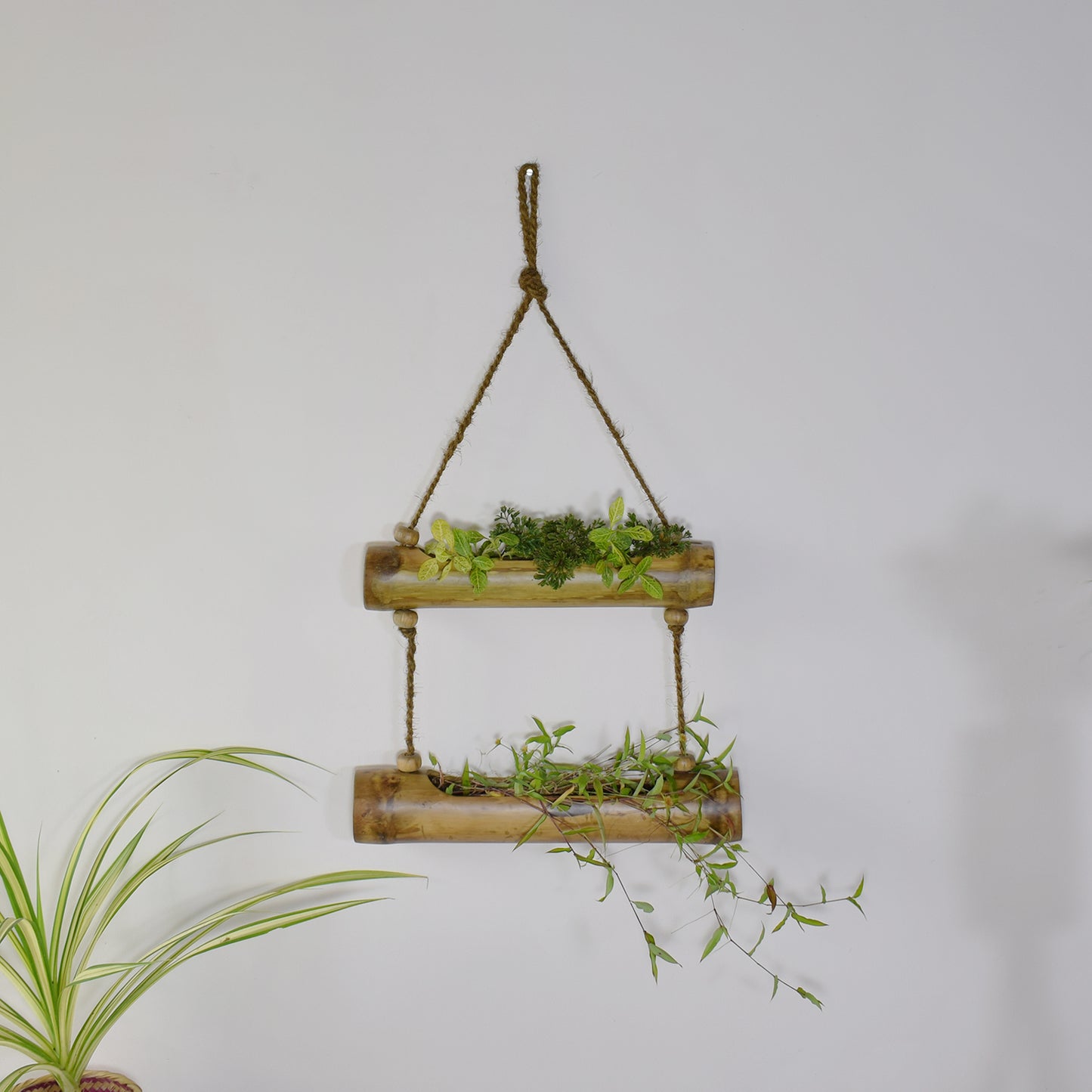 2 tier planter online