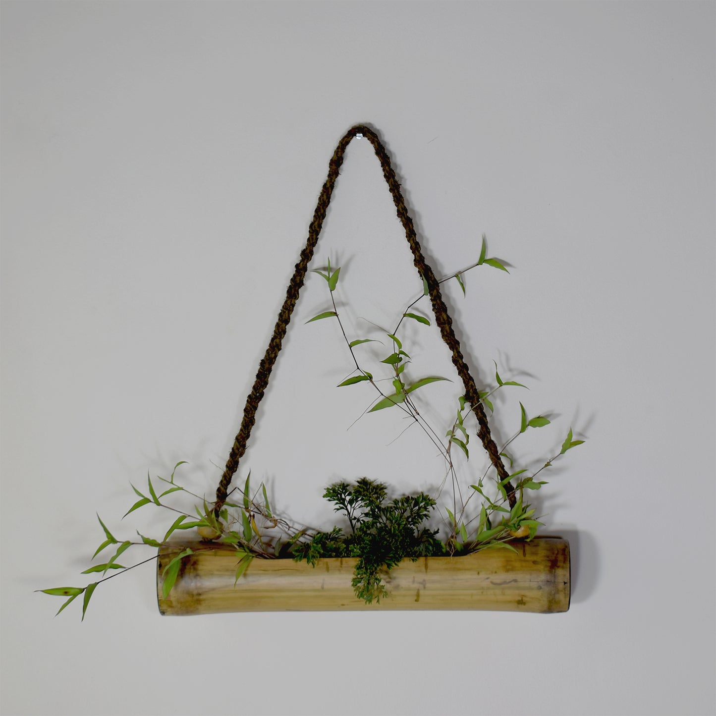 planter