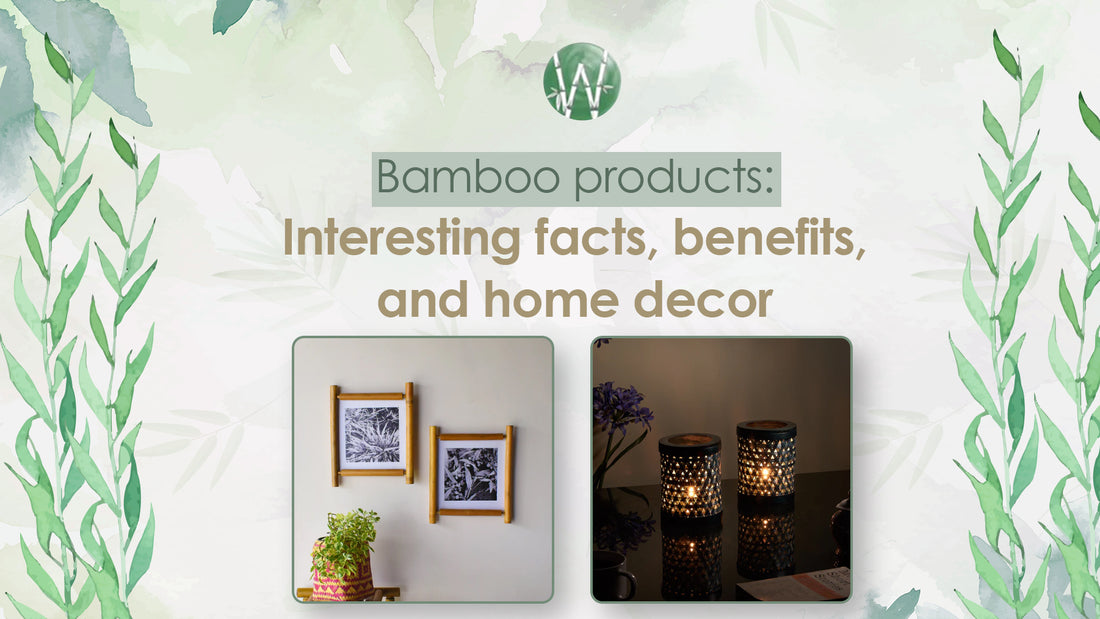 Bamboo products: Interesting facts, benefits, and home decor