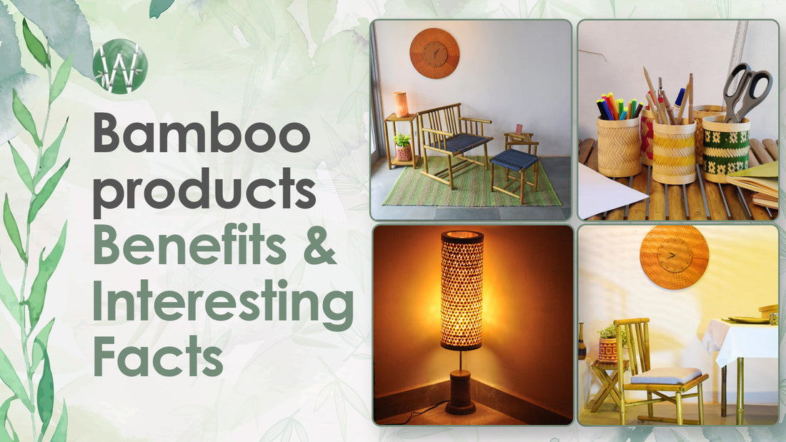 Bamboo products: Benefits and interesting facts