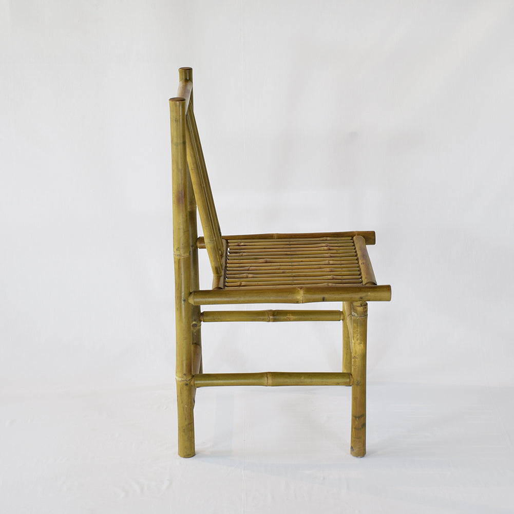 Pause Bamboo Garden Dining Chair with Skin